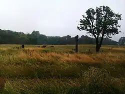 Uitzicht vanaf Bornholms Kunstmuseum