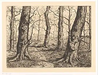 Bosrand met kale bomen