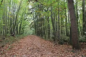 Kasteel en park Ter Rijst