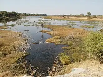De Boteti bij Makalamabedi