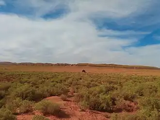 Landschap in de buurt van Boudnib