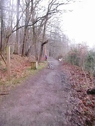 Bos van La Houssière