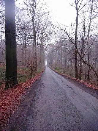 Bos van La Houssière