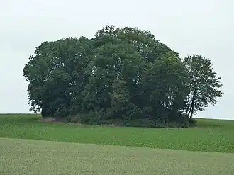Tumulus van Avennes in de zomer