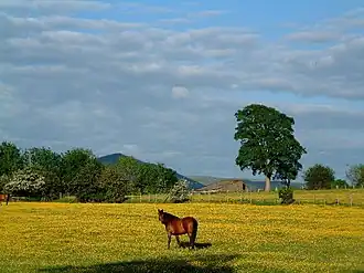 Landschap nabij Brampton