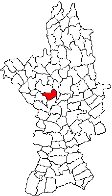 Kaart van Brâncoveni