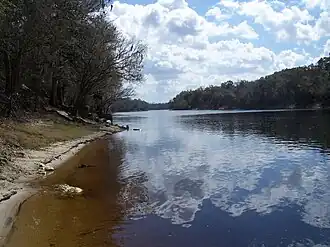 De Suwannee in Branford (Florida)