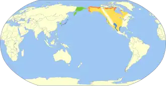 Kleine Canadese gans