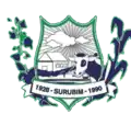 Wapen van Surubim