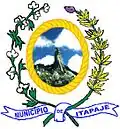 Wapen van Itapajé