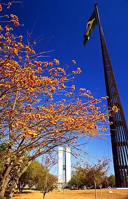 Bandeira brasileira op het plein Praça dos Três Poderes
