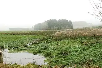 Brongebied van de Braunlauf bij Maldingen