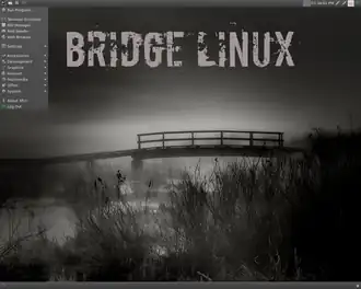 Bridge Linux
