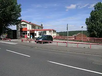 Pub de Yorkshire Terrier