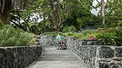 Brisbane Botanic Gardens, Australië - Een verzonken, geleidelijk hellend pad dat volledig toegankelijk is, omringd door weelderige subtropische beplanting. Het pad is breed en vlak, ontworpen voor rolstoelgebruikers en mensen met een beperkte mobiliteit.