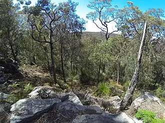 Nationaal park Brisbane Water