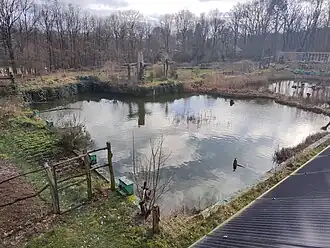 Voormalig zwembad, nu broedplaats, gezien vanaf publiekelijk toegankelijke uitkijktoren (2024)