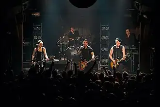 Broilers tijdens een concert in Hamburg