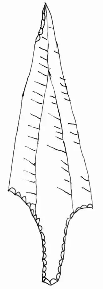 spits uit de Brommecultuur