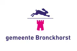 Vlag Bronckhorst