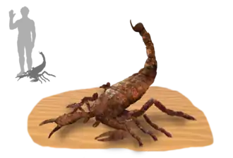 Brontoscorpio