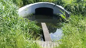 De westkant van brug 631 met steiger voor kanoërs (juni 2018)