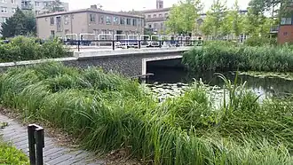 Brug 637 (augustus 2018)