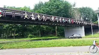 Trimmers (juni 2018)