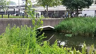 Zuideringang van de duiker onder brug 702 (juni 2018)