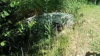 Brug 712, verscholen in het riet (juli 2018)