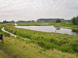 Bruggematen in zuidelijke richting (2015)