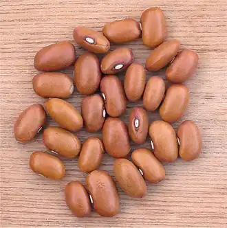 Bruine bonen