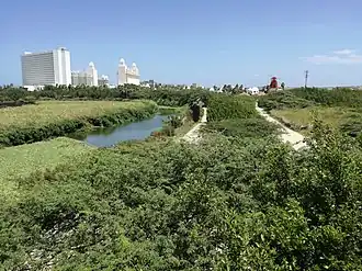 Bubali vogelreservaat