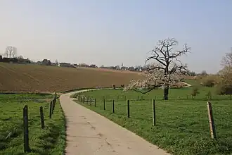 Sint-Kornelis-Horebeke