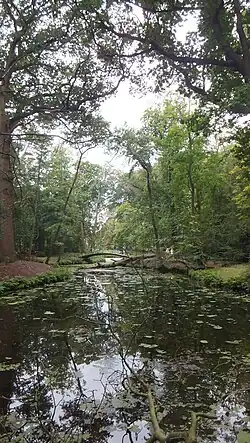 Landschaps-tuin met brug (2015)