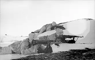 Operatie Platinfuchs