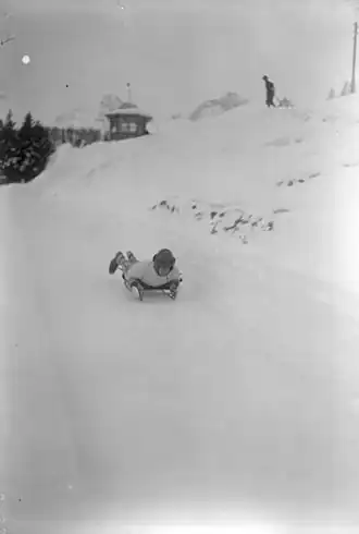 Skeleton op de Olympische Winterspelen 1928