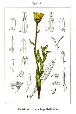 Illustratie van Jacob Sturm