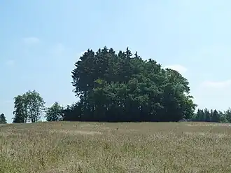 Tumulus van Hochtumsknopf