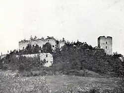 Kasteel Konjice in 1905