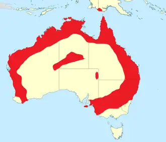 Australische griel