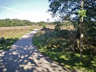 Fransche Kampheide met op de achtergrond de gerenoveerde watertoren