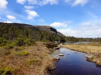 Zicht op de Butter Pot, de heuvel die zijn naam ontleende aan het park