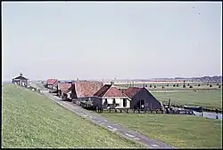 Huizenrij aan de Noordzeedijk in Roptazijl, in 1954