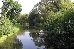 Konopištský (2009)