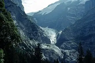 Hoge Grindelwaldgletsjer