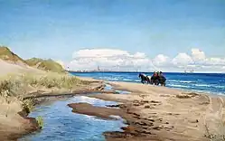 Reiskoets bij Skagen