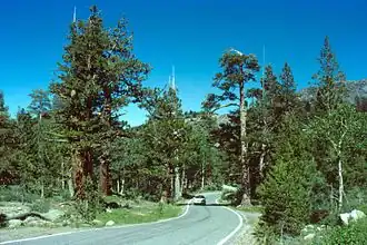Route 4 door het Humboldt-Toiyabe National Forest