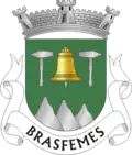 Vlag van Brasfemes