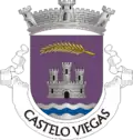 Vlag van Castelo Viegas